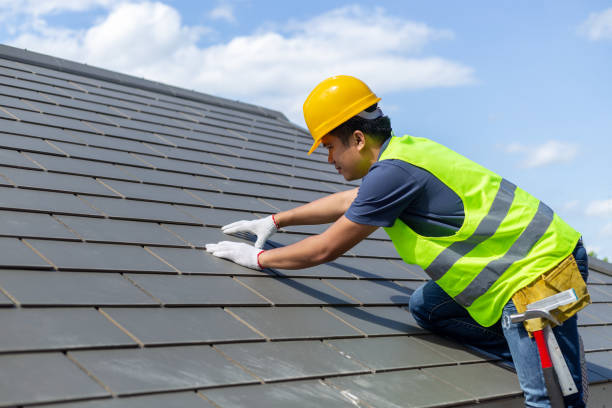 Best Roof Maintenance and Cleaning  in Amherst, VA