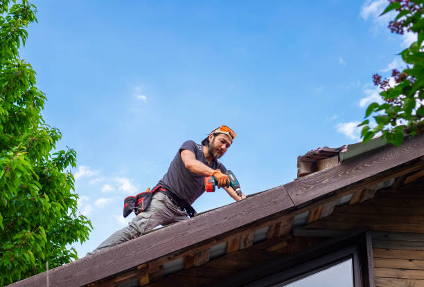 Best Green or Eco-Friendly Roofing Solutions  in Amherst, VA