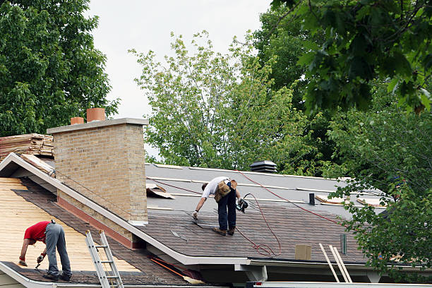 Best Roof Leak Repair  in Amherst, VA