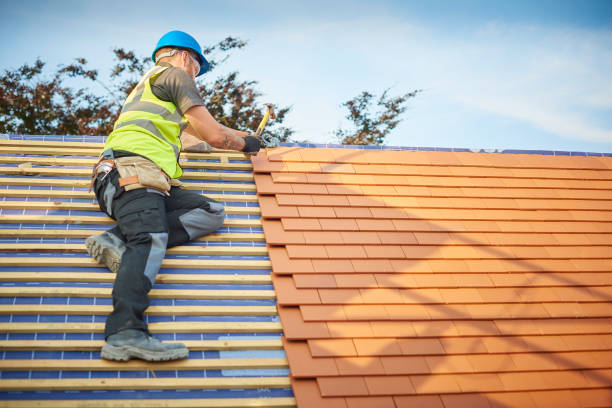 Best Sheet Metal Roofing  in Amherst, VA