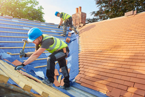 Best Roof Insulation Installation  in Amherst, VA